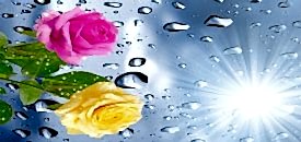 e�lence merkezlerinde gergi tavan