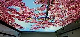 Gergi tavan malzemeleri al�rken nelere dikkat etmeliyiz?