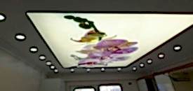 Ev dekorayonu gergi tavan se�imleri