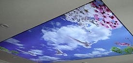 Gergi Tavanda Biriken Suyun Bo�alt�lmas�