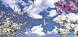 y�ksek kalitede gergi tavan �retimi