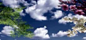 gergi tavan yap�m�nda dikkat edilmesi gerekenler