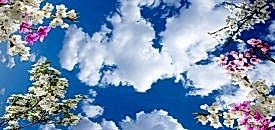 Gergi tavan �mr� ne kadard�r?